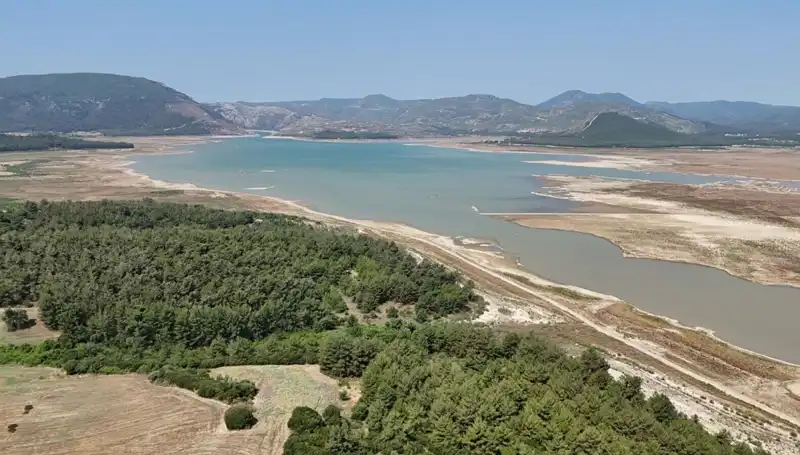 İzmir'de Tehlike Çanları: Geçen Yıla Göre Yüzde 50 Düşüş Yaşanıyor