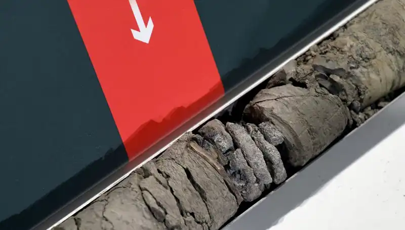 Müze Otoparkında Büyüleyici Dinozor Fosili Keşfi Gerçekleşti