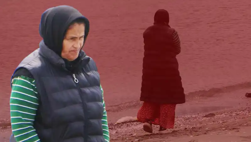 Kayıp Kedisi İçin 132 Gün Boyunca Sahilde Bekleyen Sahip
