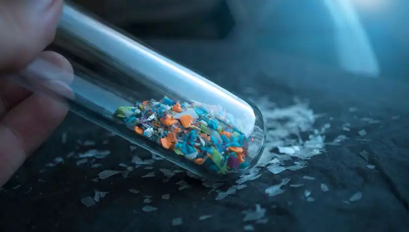 Mikroplastikler, İnsan Beynine Ulaşarak Sağlığımızı Tehdit Ediyor!