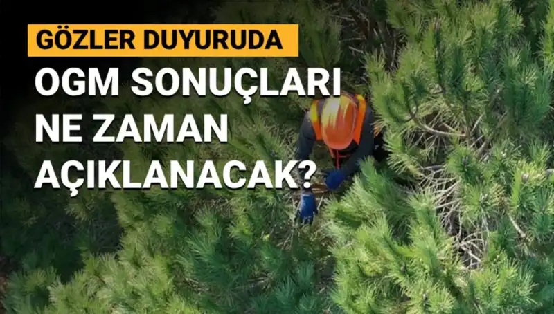 OGM Personel Alımı: 3 Bin 477 Sözleşmeli Görevli Başvuru Sonuçları Heyecanla Bekleniyor