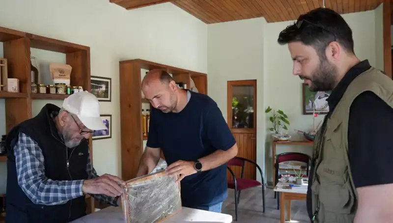 1 Çay Kaşığının Gücü: Hem Şifa Hem de Zehir!