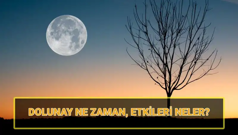 Terazi Dolunayı: Zihin Açıcı Etkiler ve Aşk Hayatına Yansıması