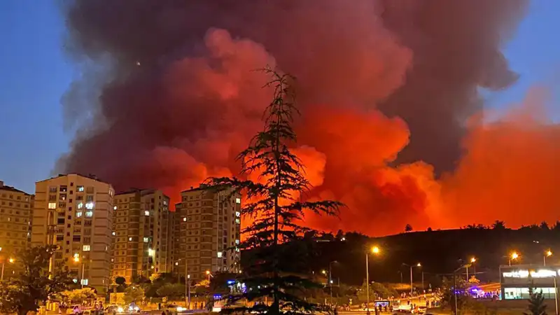 Yavaş Yavaş Büyüyen Tehlike: Bursa'da Yangın Panik Yarattı
