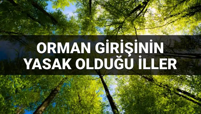 Hangi İllerde Ormana Girmek Yasak? 2025 Yılı İçin Kesin Liste