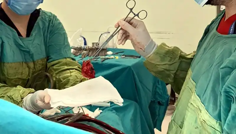 Kalp Kapağı Çürüyen Hastaya Uygulanan 7 Saatlik Ameliyat: Mucizevi Sonuçlar