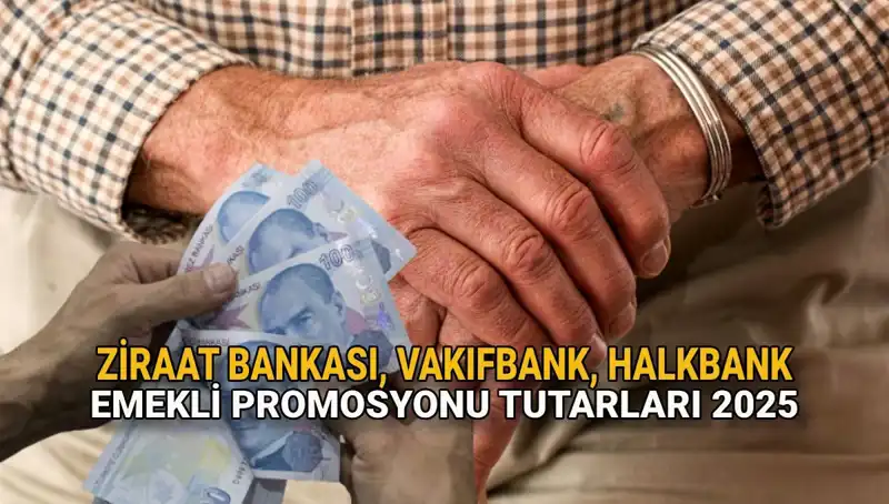 Emekli Promosyonları 2025: Kamu Bankaları Destek Sunuyor