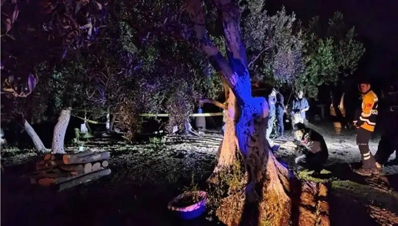 Çiftlikteki Baltalı Vahşet: Olayı Gerçekleştiren Kişi Tutuklandı