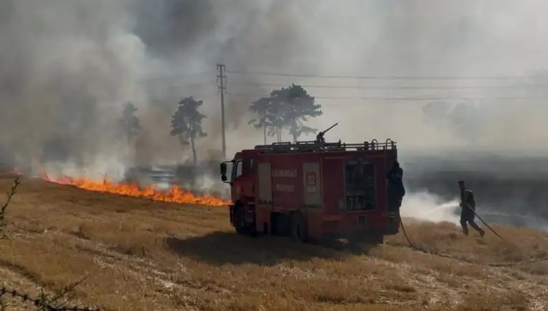 Kırklareli'nde Ani Başlayan Anız Yangını Panik Yarattı