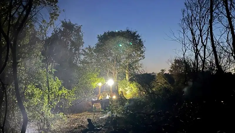 Edirne'deki Orman Yangını Kontrol Altına Alındı: Son Durum ve Etkiler