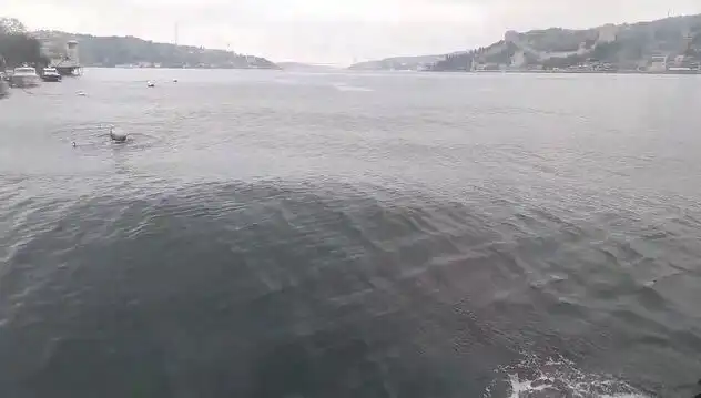 İstanbul Boğazı'nda Yaşanan Dalga Yüksekliği: Sebepler ve Sonuçlar