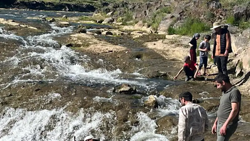 İnci Kefalinin Destansı Göçü: Doğa Harikası Yeniden Başlıyor!