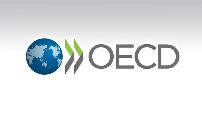 OECD Türkiye’nin Büyüme Tahminini Güncelledi: Yeni Rakamlarla İlgilendiren Detaylar