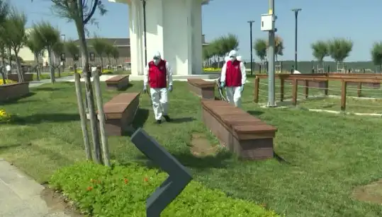 Kene Popülasyonu Artıyor: Halka Açık Alanlarda İlaçlama Önlemleri Alınıyor