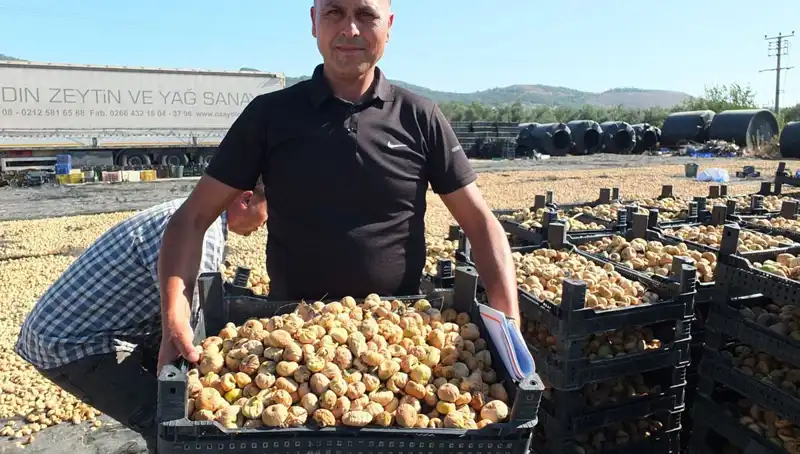 Balıkesir'de Tarımda Devrim: Çin ve Rusya'ya İhraç Başladı!