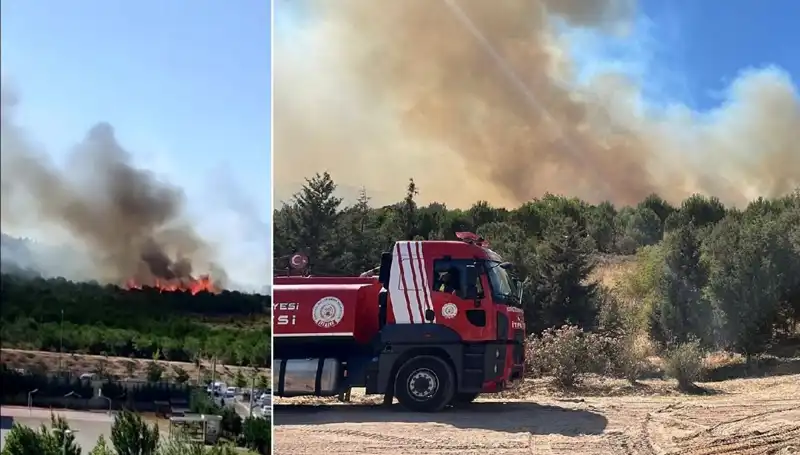 Gebze'de Korkutan Orman Yangını: Hedefteki Alanlar ve Yangınla Mücadele
